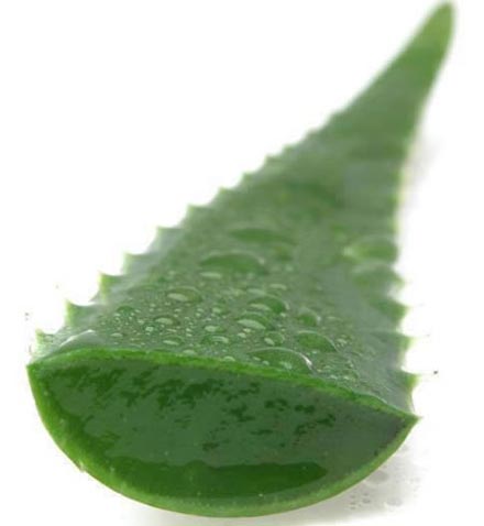 www.medicalmedium.com