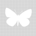 jennifermargulis.net