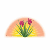 lilyofthedesert.com