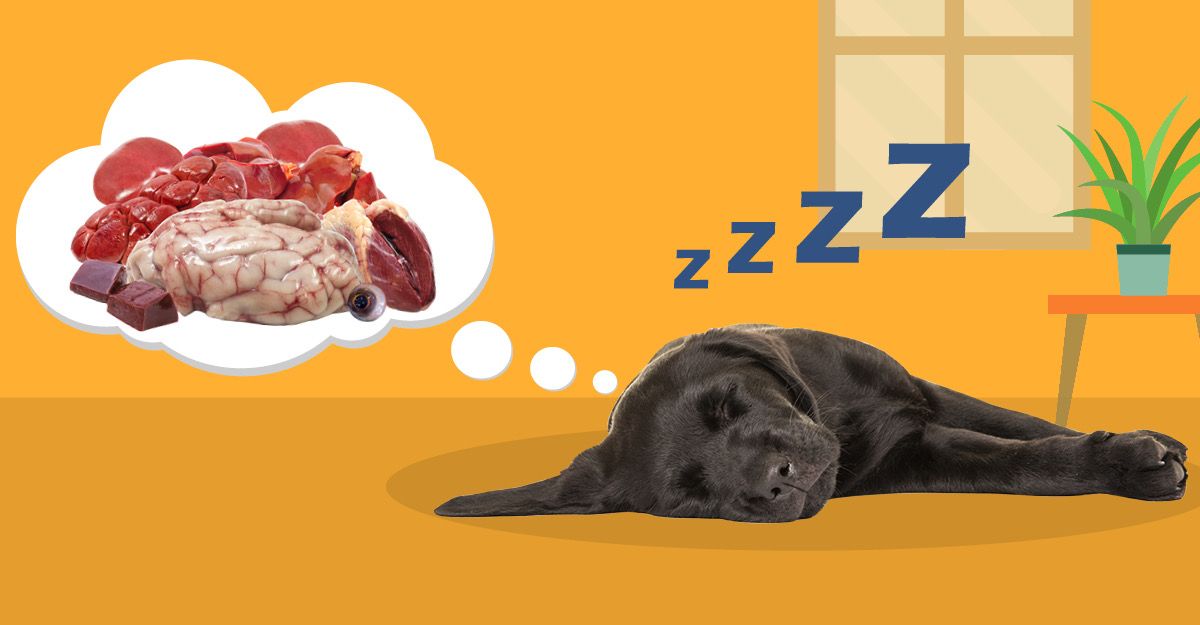 www.dogsnaturallymagazine.com