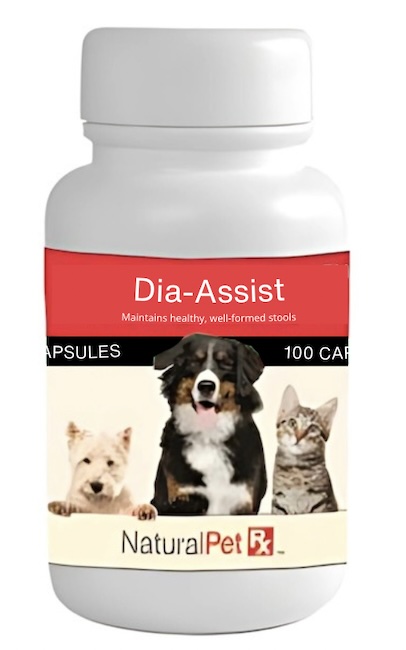 www.homevet.com