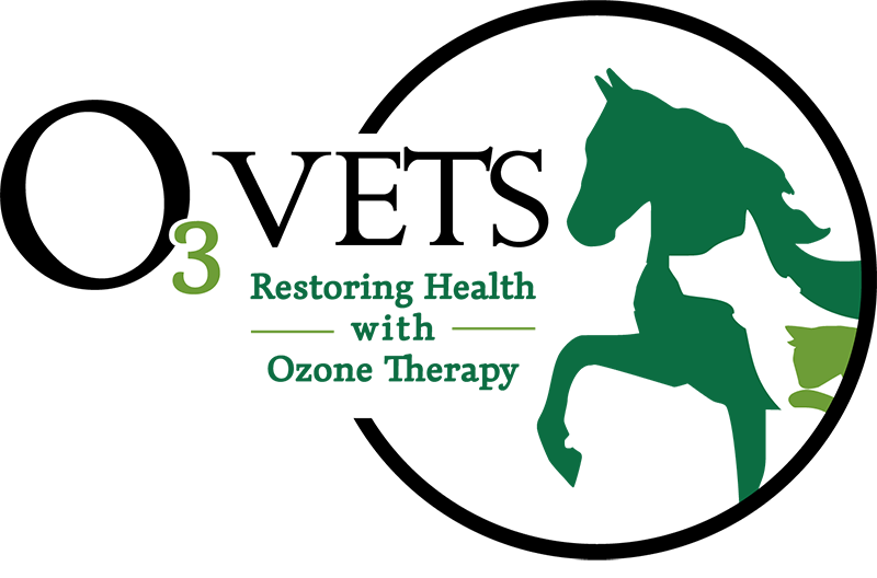 www.o3vets.com