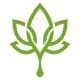 cannaffex.ca