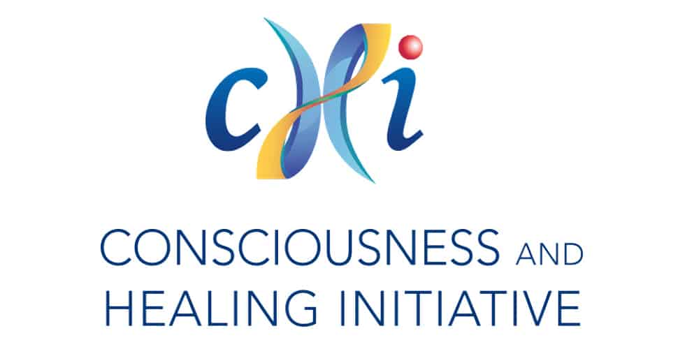 www.chi.is