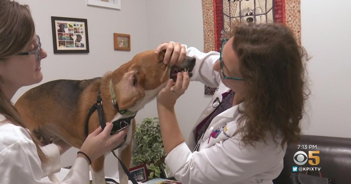 sanfrancisco.cbslocal.com