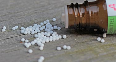 remedia-homeopathy.com