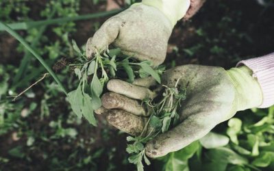 Treating Symptoms Like Weeds In Your Garden
