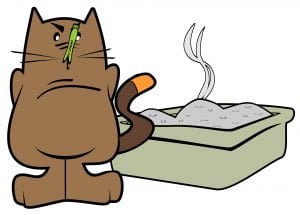 smelly litter box and litter aversion is a common cause for inappropriate elimination