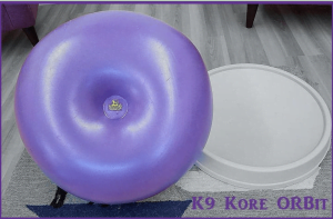 core conditioning, agility, homeopathy