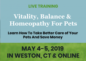 Helping Your Pets Using Vitality, Balance and Homeopathy