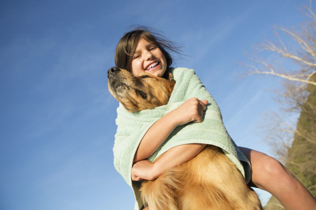 A girl in a beach towel with a golden retriever dog.