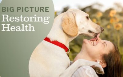 Confused About Your Pet’s Symptoms, and Maybe Even Your Own? Gain Clarity With a Big Picture Perspective
