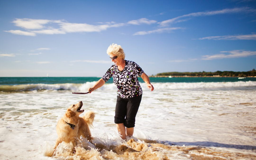 Faced With Making a Medical Decision for Your Pet? Push “Paws” to Ensure a Fairy Tale Ending