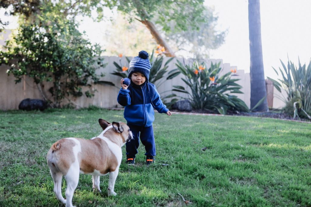 Diverse young little boy playing his pet dog outside in the back yard.