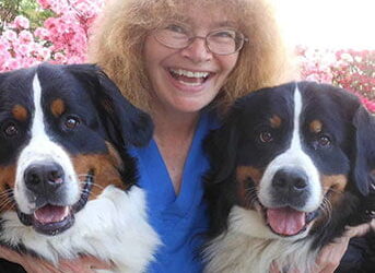 Dr. Sara Fox Chapman’s Story