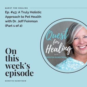 Quest for healing podcast, Dr. Jeff Feinman, holistic veterinarian