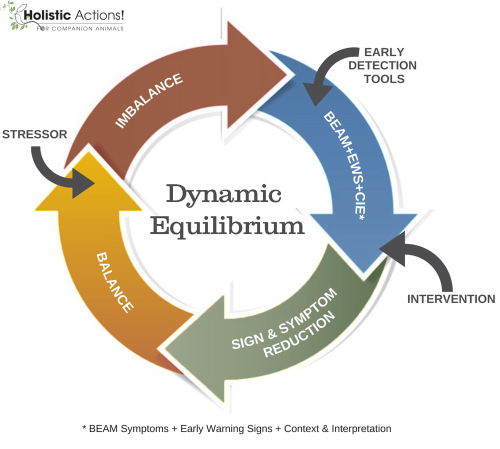 homeostasis, health, homeopathy, dynamic equilibrium, vitality and balance