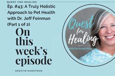 Quest for Healing: A Truly Holistic Approach to Pet Health