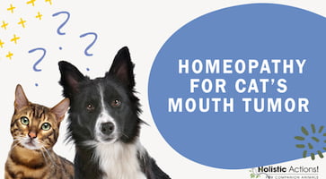 What Homeopathic Remedy Can Treat a Cat’s Mouth Tumor?