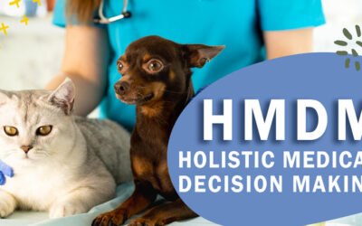 Suffering from decision fatigue? HMDM to the rescue