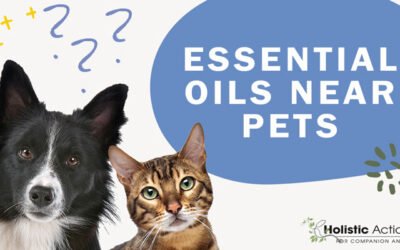 Can I use essential oils around my pets?