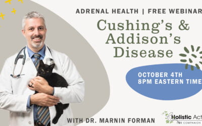 Adrenal Health With Dr. Forman From Cornell
