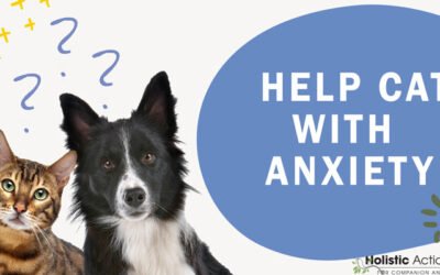 What Natural Methods Can I Use to Help My Cat’s Anxiety?