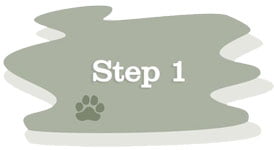 step1white