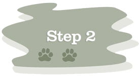 step2white
