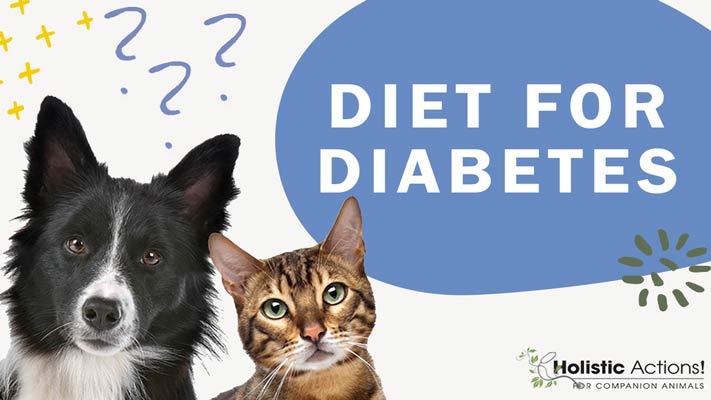 What’s the Best Diet for My Dog with Diabetes?