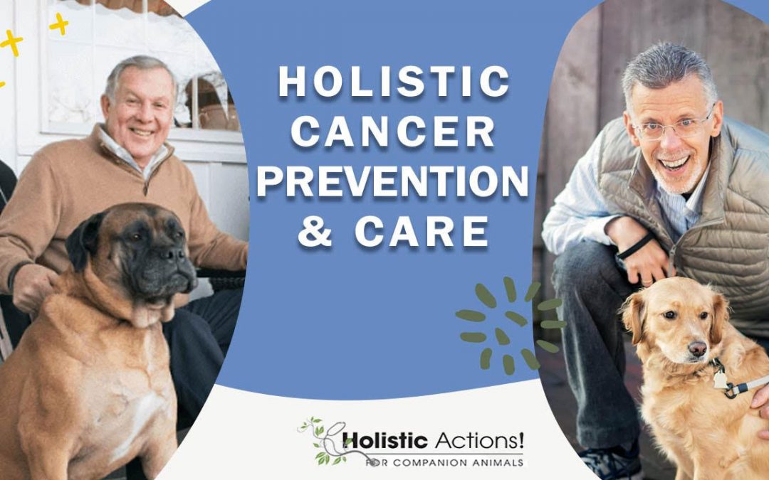 Holistic Cancer Prevention With Dr. Bob Goldstein