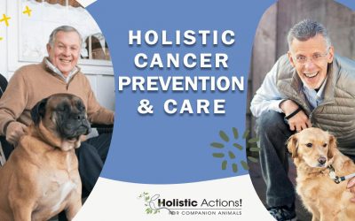 Holistic Cancer Prevention With Dr. Bob Goldstein