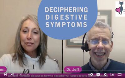 Deciphering Digestive Symptoms