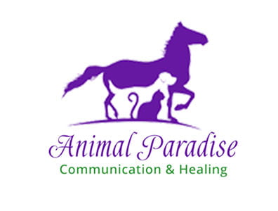 animal paradise, holistic actions press, holistic pet care
