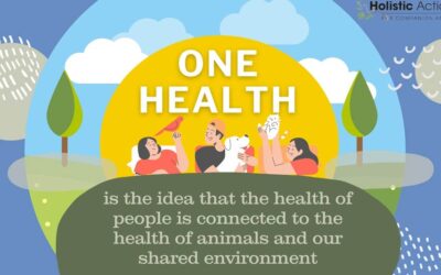 One Health Medicine: Reconnecting People, Pets, and the Planet to Restore Vitality, Balance, Health, Healing, and Happiness