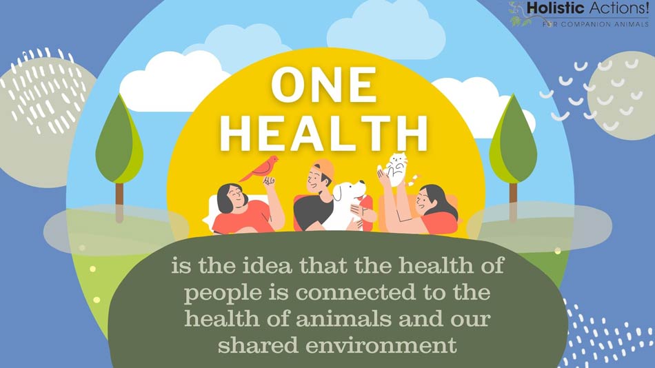 One Health Medicine: Reconnecting People, Pets, and the Planet to Restore Vitality, Balance, Health, Healing, and Happiness