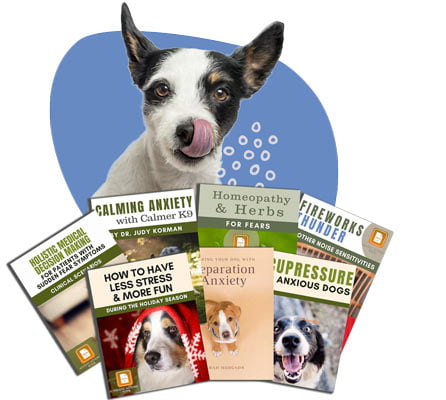 separation anxiety, holistic pet care, alternative healing,