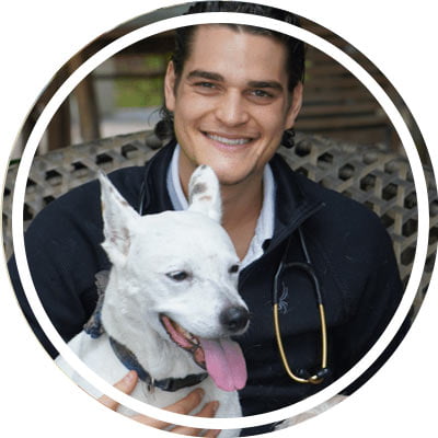 Dr. Zac Pilossoph, holistic pet care, anxiety, cbd