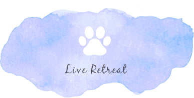 live retreat