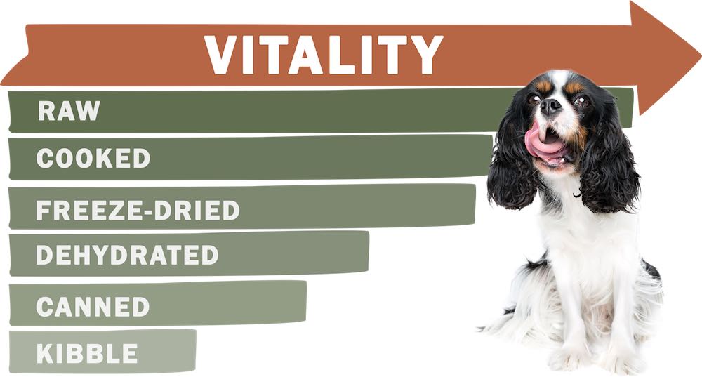 vitality scale, dog food, pet nutrition, cat food, raw food, holistic actions