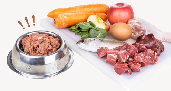 fresh-food Ingredients of barf raw food recipe for dogs consisting meat, eggs and vegetable