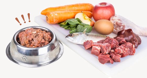 Ingredients of barf raw food recipe for dogs consisting meat, eggs and vegetable