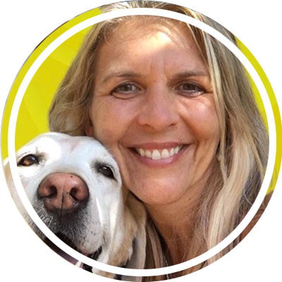 nutrition, raw feeding, holistic pet care, pet food, dr. katie kangas