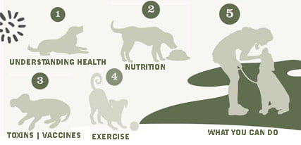 holistic pet health 101-LIBRARY-THUMB holistic pet health 101
