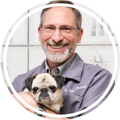 dr.doug knueven, holistic pet care, feeding natural, dog, cat