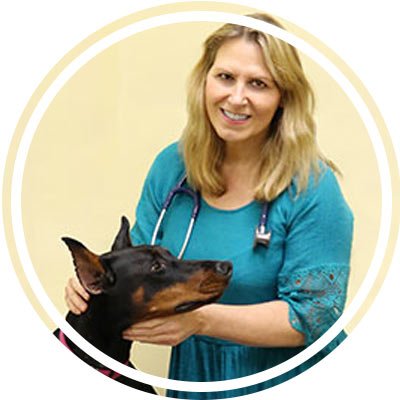 nutrition, raw feeding, holistic pet care, pet food, anitra frazier