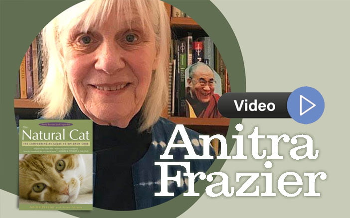Happier and Healthier Cats - Holistic Actions! Happier and Healthier Cats - Holistic Actions!