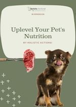 Uplevel Your Pet's Nutrition