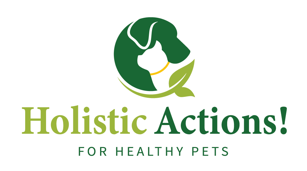 Holistic Actions Logo