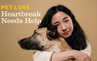 Pet Loss – Heartbreak Needs Help